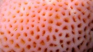 So, your fear of small holes makes total sense in the eyes of science