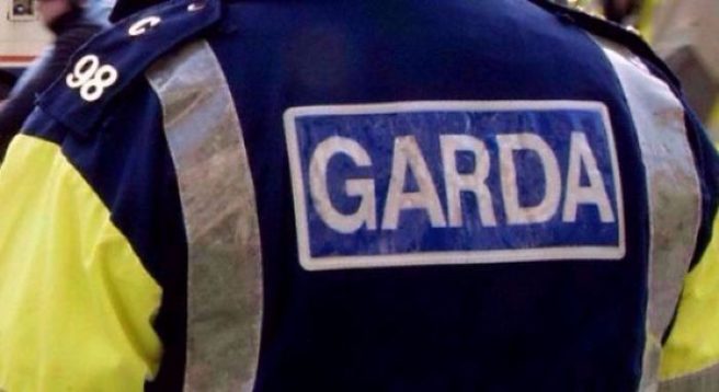 Gardaí re-issue appeal to the public following woman’s disappearance