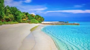 This boss brought his 42 employees on holiday and we’re ALL jealous