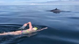 ‘I felt privileged’ This Cork woman swam from Ireland to Scotland