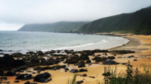Fancy an adventure? Here’s 5 magical day trip locations in Ireland