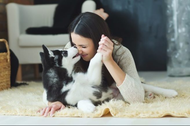 People who own dogs may live longer People who own dogs may live longer